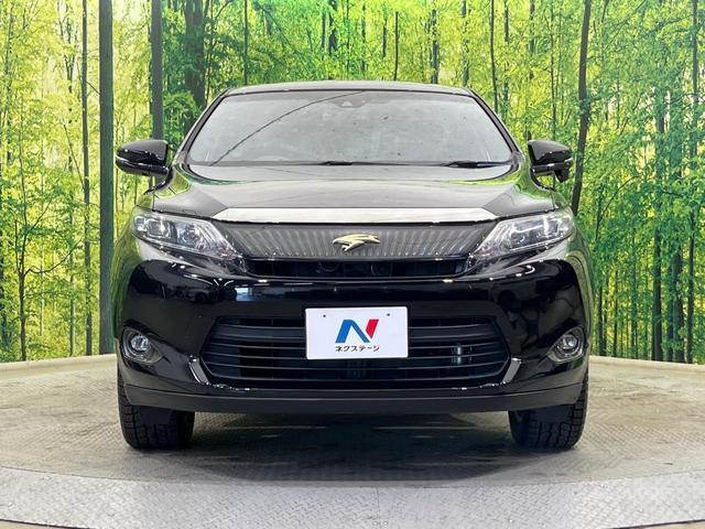24299729_carP_l_8.jpg