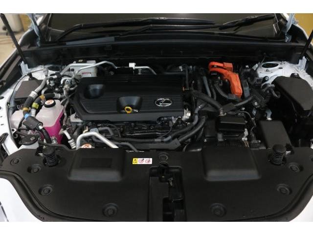 26774542_carP_l_17.jpg