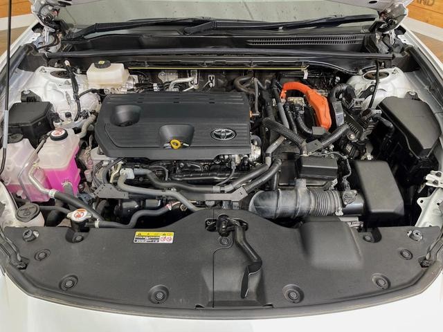 25075959_carP_l_18.jpg