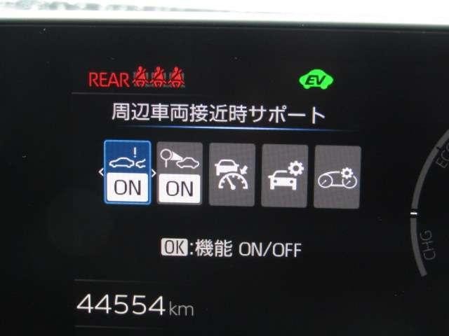 24845655_carP_l_7.jpg