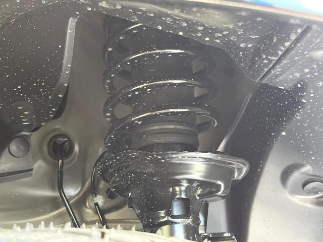 24500811_carP_l_20.jpg