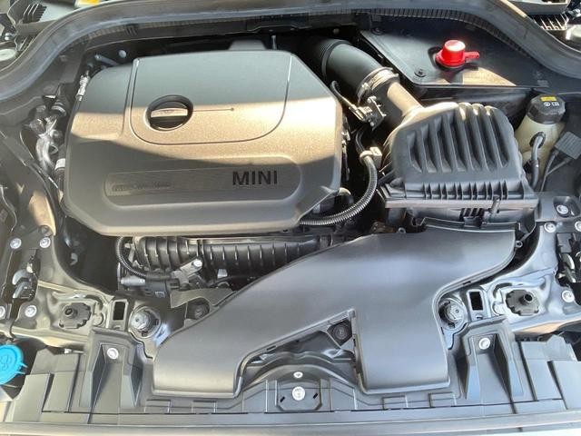 25384199_carP_l_16.jpg
