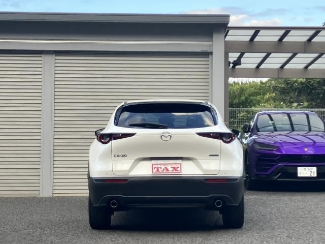 26867043_carP_l_14.jpg