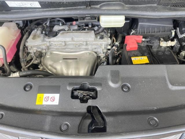 24300399_carP_l_18.jpg