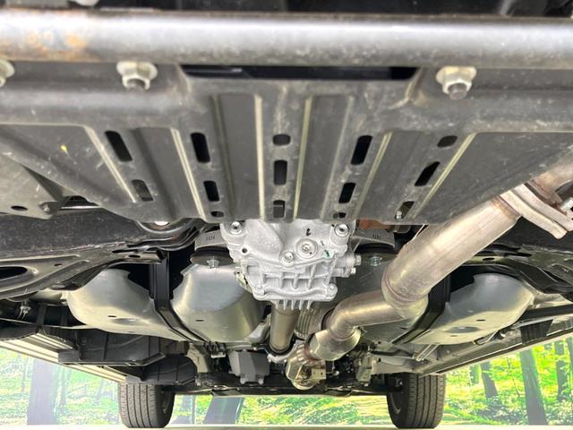 24134141_carP_l_18.jpg