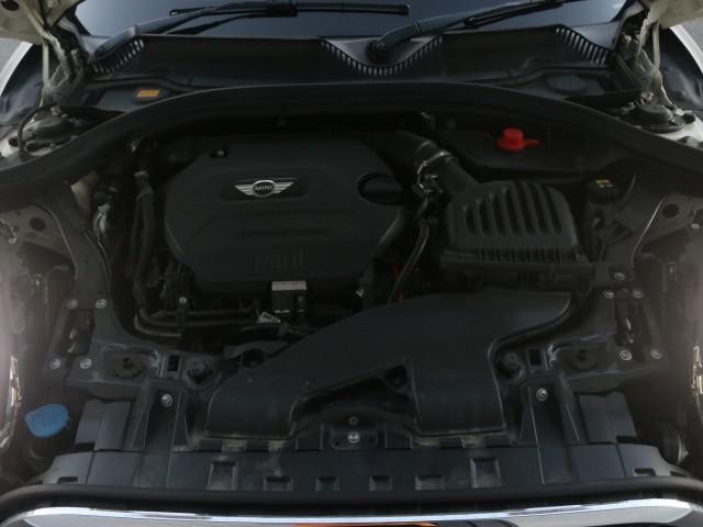 26578545_carP_l_17.jpg