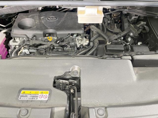 24625380_carP_l_18.jpg