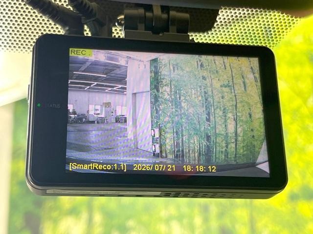 26063706_carP_l_13.jpg