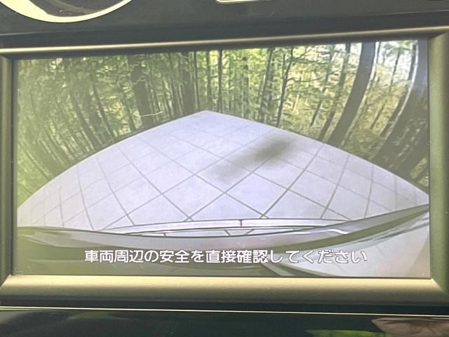 26063706_carP_l_4.jpg
