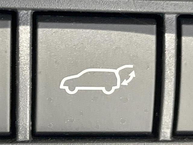 24953290_carP_l_14.jpg