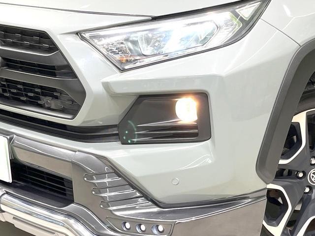 26209687_carP_l_6.jpg