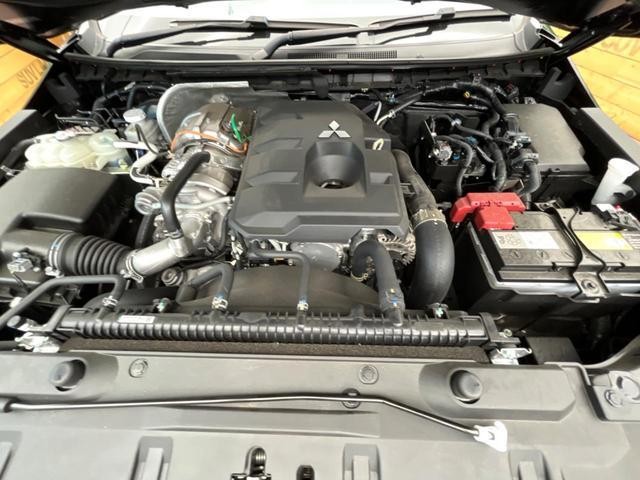 26293001_carP_l_16.jpg