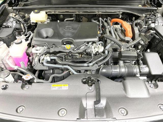 24828410_carP_l_16.jpg