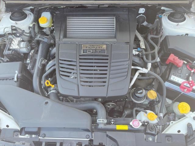 26881802_carP_l_16.jpg