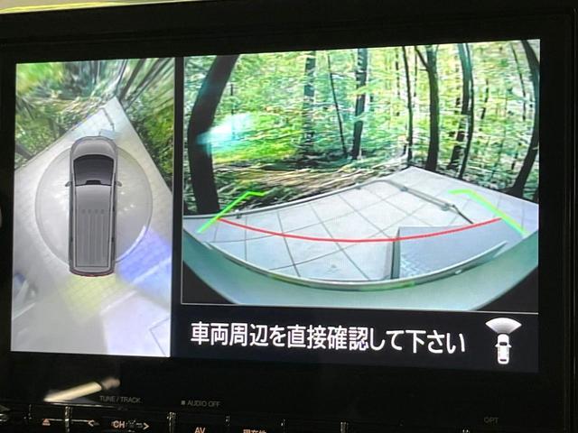 24320314_carP_l_10.jpg
