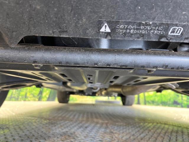 24320314_carP_l_18.jpg
