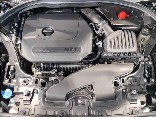 26142147_carP_l_6.jpg