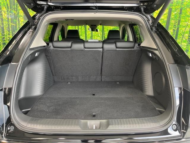 25076056_carP_l_2.jpg