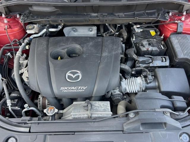 25405311_carP_l_18.jpg