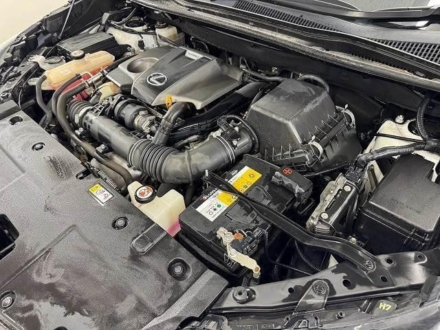 26161964_carP_l_8.jpg