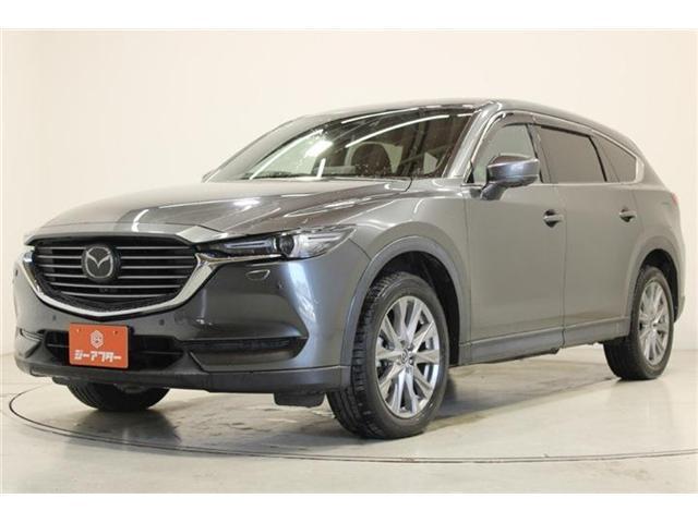 24160744_carP_l_17.jpg