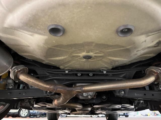 25982686_carP_l_18.jpg