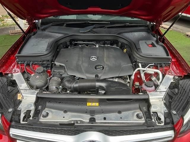 26418117_carP_l_8.jpg