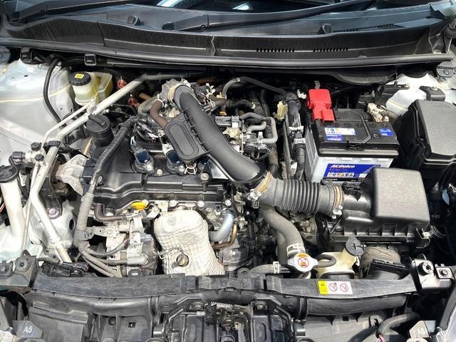 25571517_carP_l_16.jpg