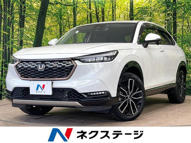 24180052_carP_l_1.jpg
