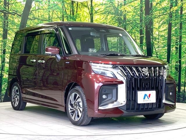 25179252_carP_l_11.jpg