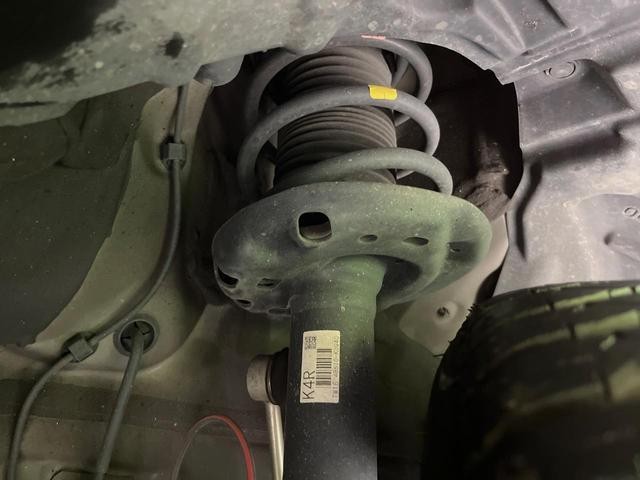 25283279_carP_l_20.jpg