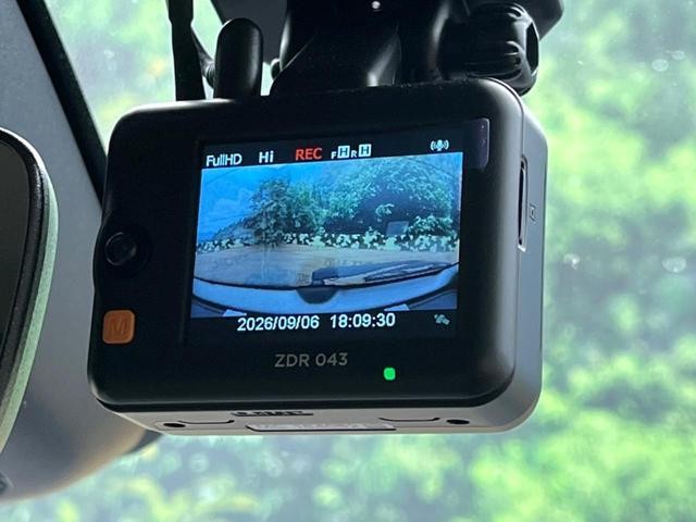26293010_carP_l_14.jpg