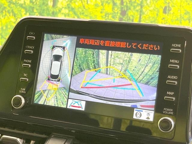 25199559_carP_l_4.jpg