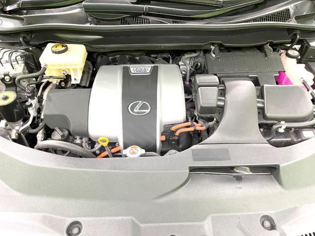 24280593_carP_l_20.jpg