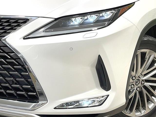 24280593_carP_l_8.jpg