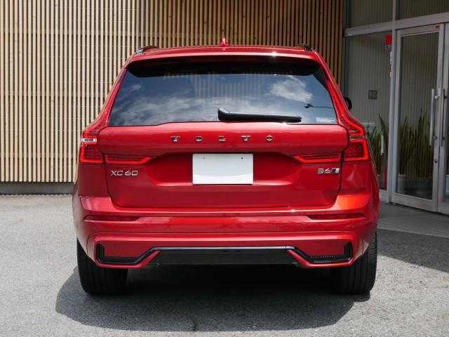 24913463_carP_l_20.jpg