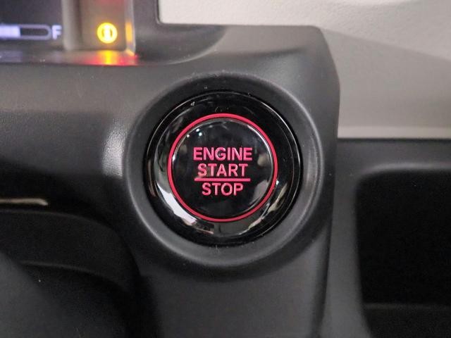 0230024A30260825W00611.jpg