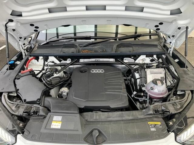26449748_carP_l_9.jpg