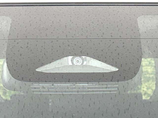 24280524_carP_l_15.jpg
