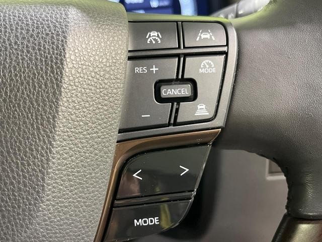 26557599_carP_l_17.jpg
