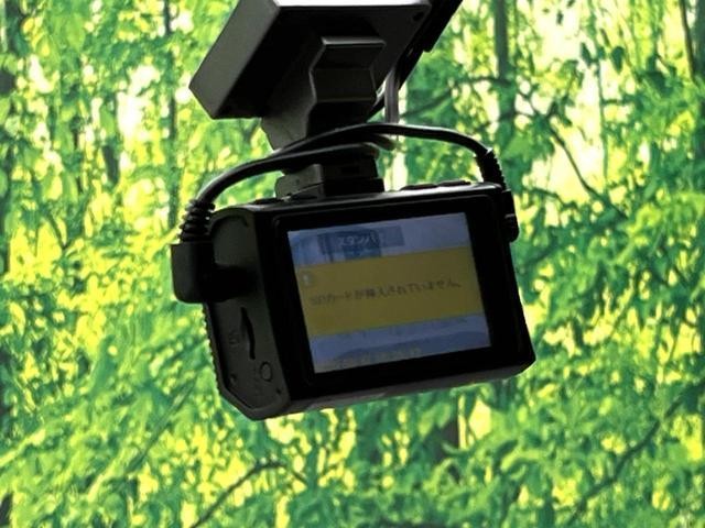 26335175_carP_l_10.jpg