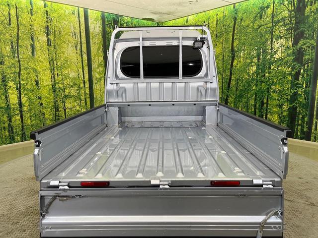 23845892_carP_l_2.jpg