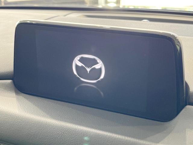 25138190_carP_l_4.jpg