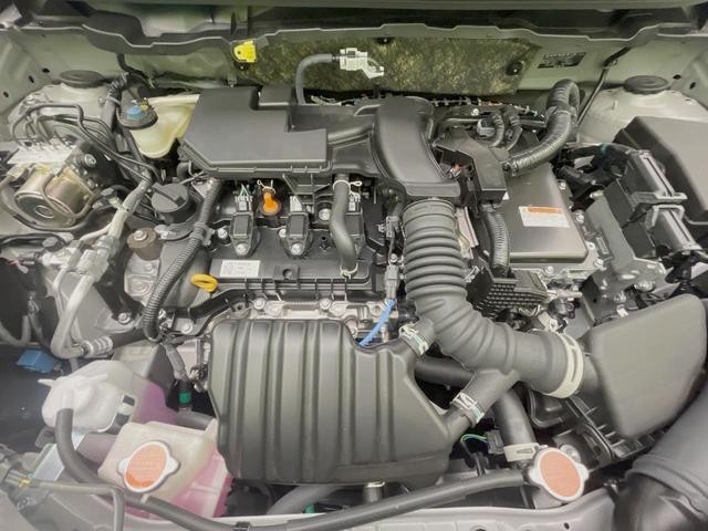26002144_carP_l_12.jpg