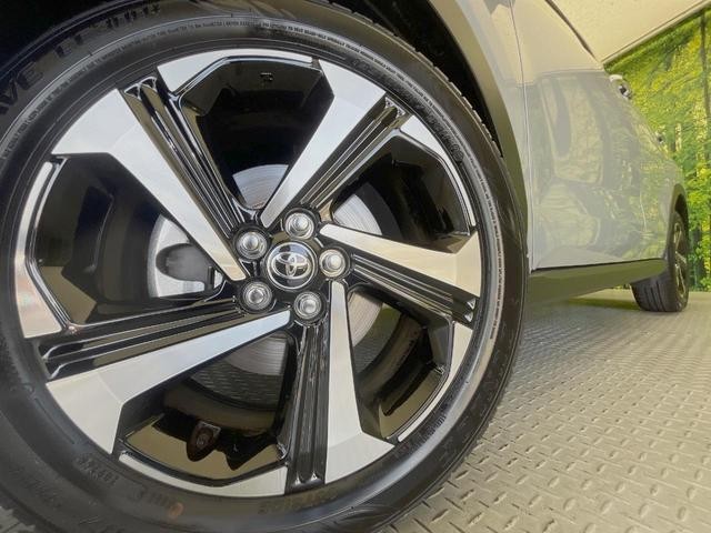 26002144_carP_l_6.jpg