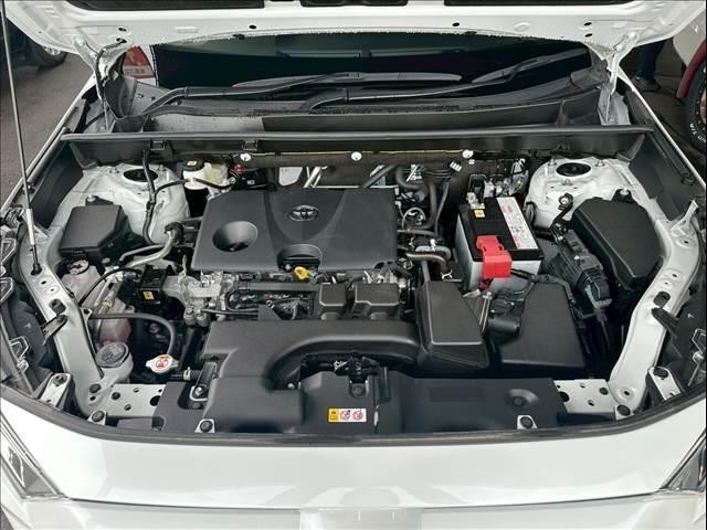 24947453_carP_l_6.jpg