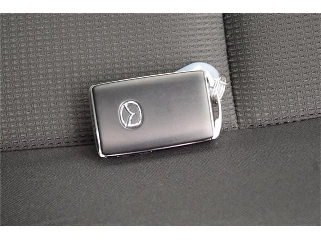 26549428_carP_l_16.jpg
