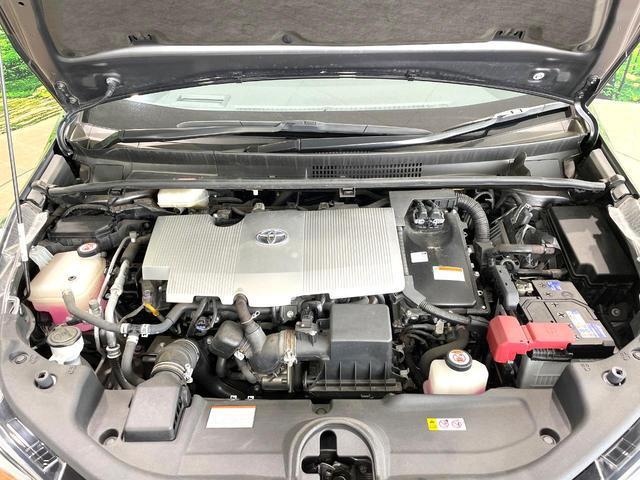 24320756_carP_l_16.jpg