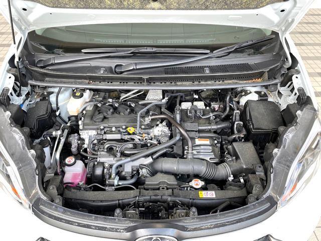 24421824_carP_l_2.jpg