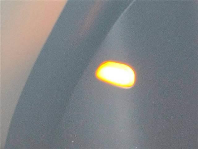 24947461_carP_l_5.jpg